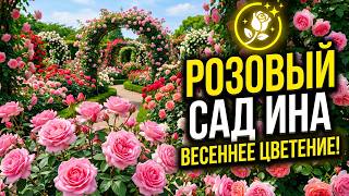 Путешествие в Розовый сад Ина: вдохновение из самого сердца Японии! 🌹🇯🇵