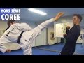 Entranement taekwondo avec fabien yoon  korean tigers