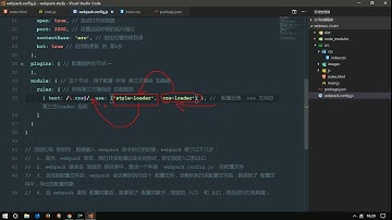 vue js 入门与实战 十一天课程day5 17 loader 分析webpack调用第三方loader的过程