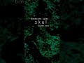 Timeworn Tales - sKul #scifi #music