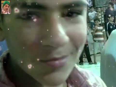 الشيخ محمد غازي في مولد اجا 