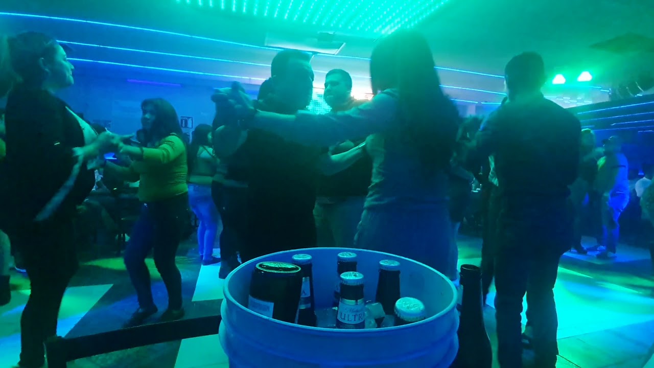 Lloro Bar internacional una probadita con rossy