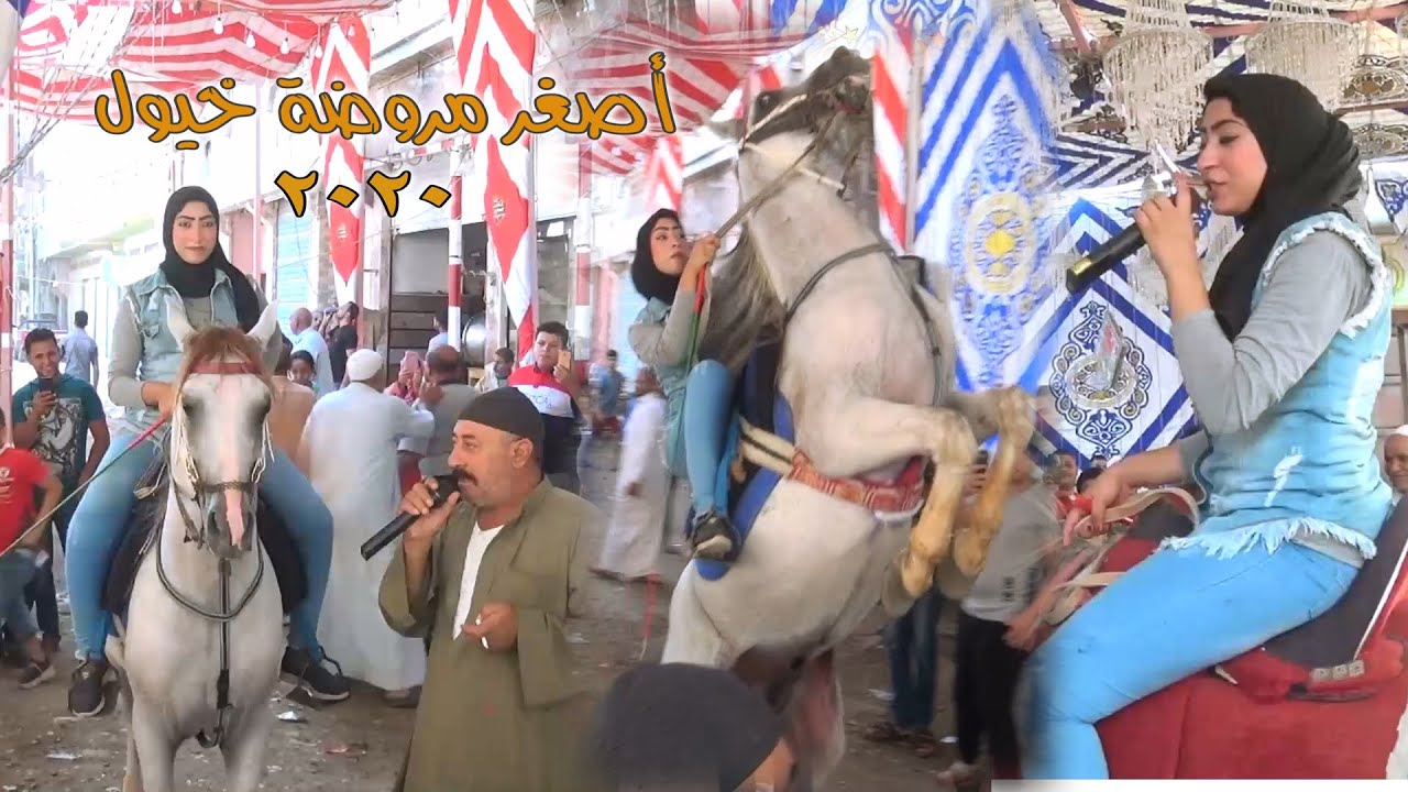 اصغر مروضة خيول الجزء الثانى 2020 | شركة النجوم 01026395900