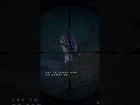 the hunter call of the wild diamond cahrt the hunter call of the wild diamond cahrt