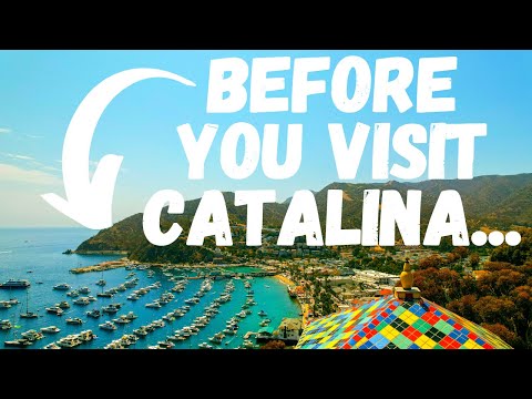 7 THINGS TO KNOW BEFORE A TRIP TO CATALINA ISLAND! 🌴