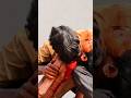 Dhurandhar Official Trailer #youtubeshorts #viralvideo #trending #sad #bhai #shorts #action #funny