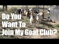 Southern Arizona Dairy Goat Association