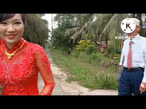 Video Đám cưới Hòa Nhã - Kim Ngân 2-10-2022 Minh Đức Mỏ cày... - youtube