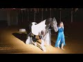 Magical World of Dancing Horses  2017 -  Imagine -  Pam Buterbaugh