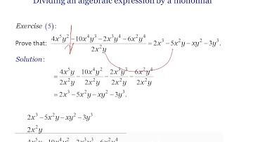 Dividing an Algebraic Expression by a Monomial - Exercise 5