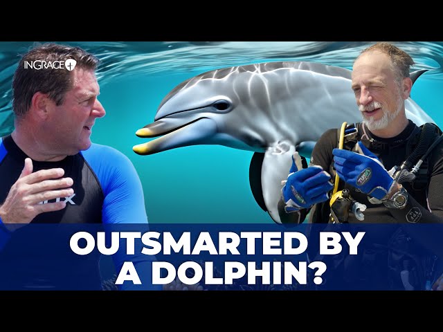 A Pastor, a PhD, and a Dolphin Show God’s Brillance  | Dr. Robert Carter & Jim Scudder