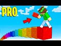 MINECRAFT PARKOUR MA SIAMO DEI PRO!