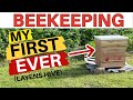 Beekeeping how to install bees in a layens hive