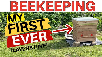 Beekeeping: How To Install Bees In A Layens Hive