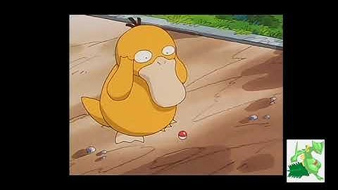 Misty catches Psyduck