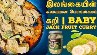 இலங்கையின் சுவையான பொலஸ் கறி | பலா பிஞ்சு Curry | ගමේ රහට පොලොස් authentic polos curry