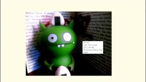 Uploading Picture to the Uglydolls Forum through a File