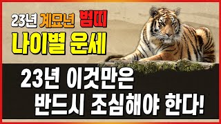 [띠별 운세] 2023년 계묘년 호랑이띠 운세(재물운 연애운 건강운..) / 이것만은 반드시 조심해야 한다!…