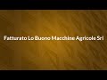 Fatturato LO BUONO MACCHINE AGRICOLE SRL