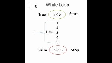While loop in Python #Shorts