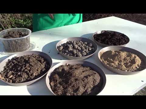 Conseils horticoles :