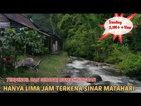 INI DIA!!! Kampung TERPENCIL di HUTAN WILIS MADIUN!!! Hidup di desa,Suasana Desa