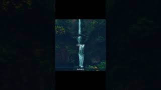 Iss Qadar - Aviverse | Aesthetic |Herat touching lyrical edit #song #lyrics #shorts #music #lovesong