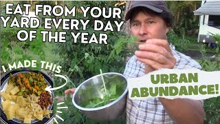 How I Eat from a South Florida Permaculture Food Forest & You Can Too