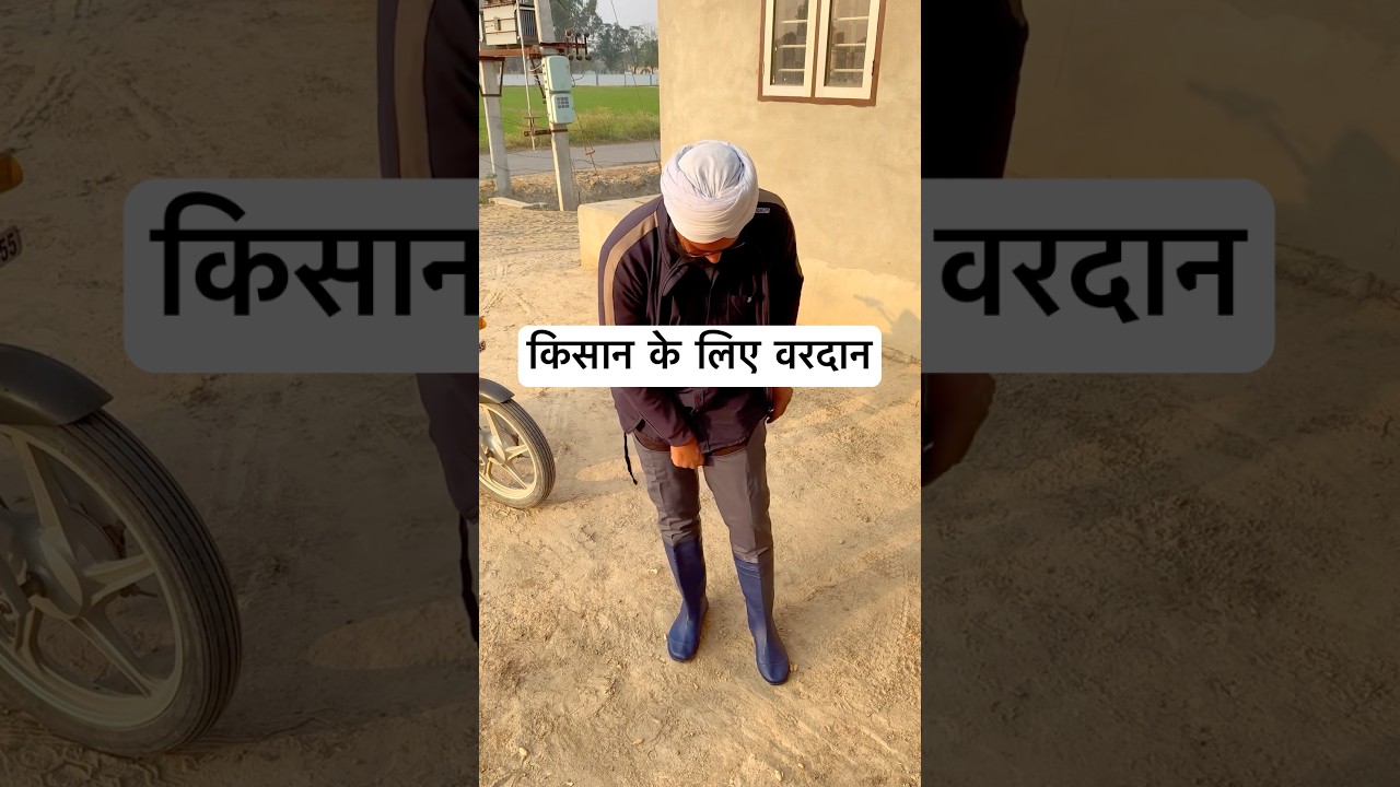 Waterproof shoes for farmers-vlog | vip farmer paddy shoes| veer dairy farm 