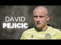 David pejii  slovenian wonderkid  2024