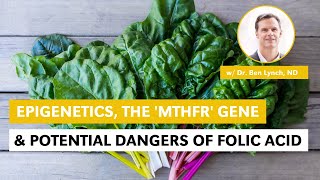 Epigenetics, MTHFR Gene & Potential Dangers of Folic Acid w/ Dr. Ben Lynch, ND