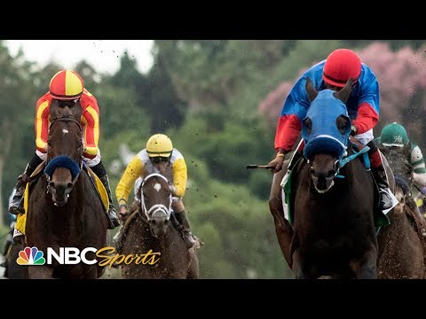 Awesome Again Stakes 2019 (FULL RACE) | NBC Sports