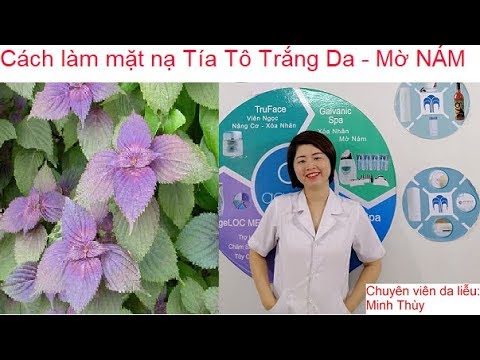 Cách làm mặt nạ Tía Tô - TRẮNG DA - Mờ NÁM - Tàn Nhang