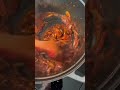 Roasted Squash Vodka Sauce Recipe