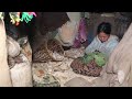 Village food recipe || Village life