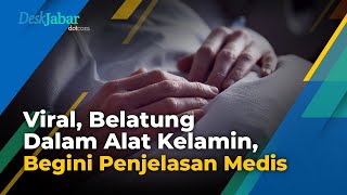 Viral, Video Belatung dalam Alat K3lamin Wanita di Sosial Media Twitter, Begini Penjelasan Medis