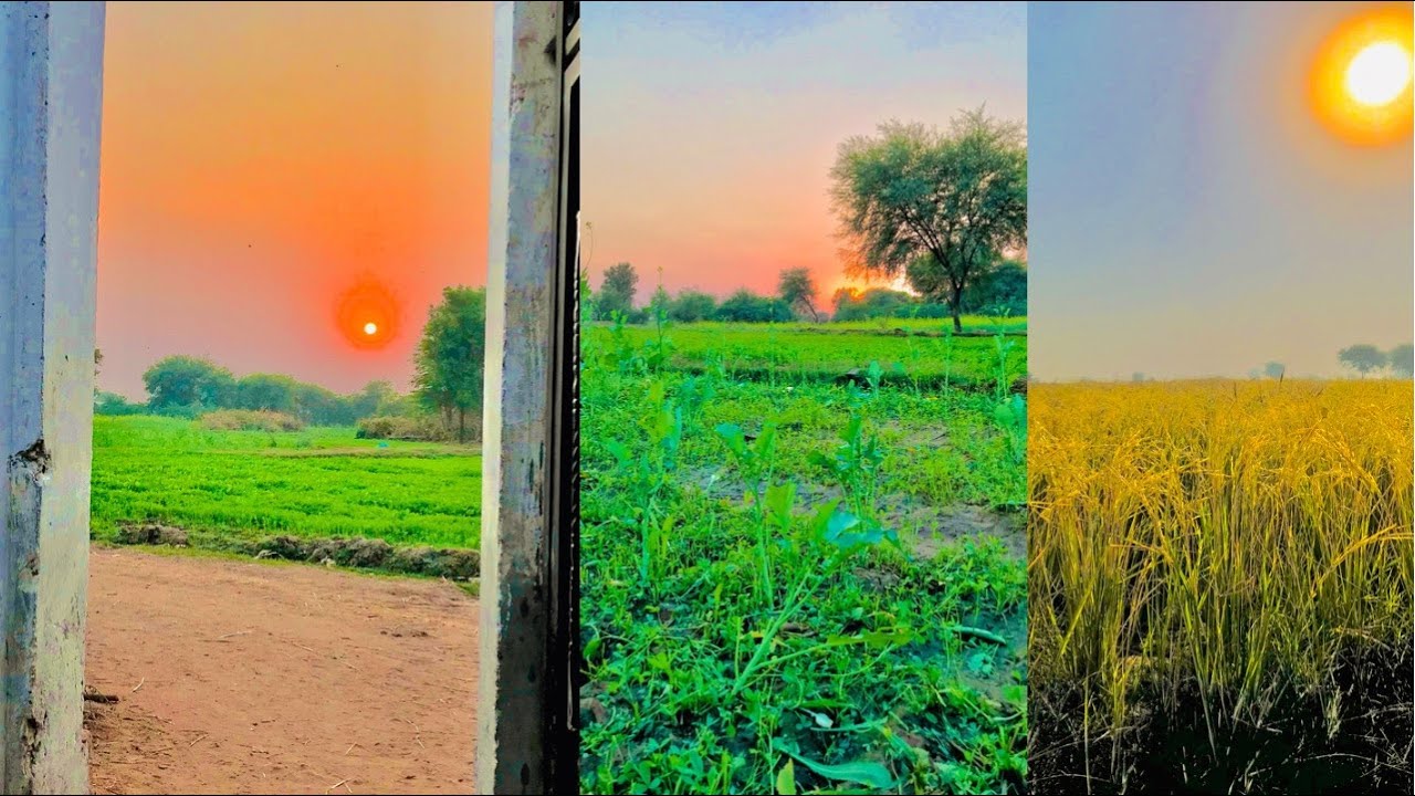 Iphone sun photo colour grading/greenery editing/look like a pro/Waqas Ahmed Official