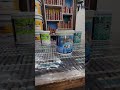 Exterior Paints by Asian Paints - Maa Tara Enterprises, Hazaribagh #asianpaints #painting