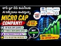 Micro Cap | Future Multibaggerstocks | 100%