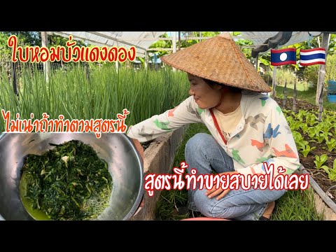 สาวลาวเที่ยวทั่วไทยEp1: ส้มผักดอง(ใบหอมแดง) สูตรนี้ทำขายได้สบายทำง่ายไม่หยุ้งยาก พรุ่งนี้เรีมเดินทาง