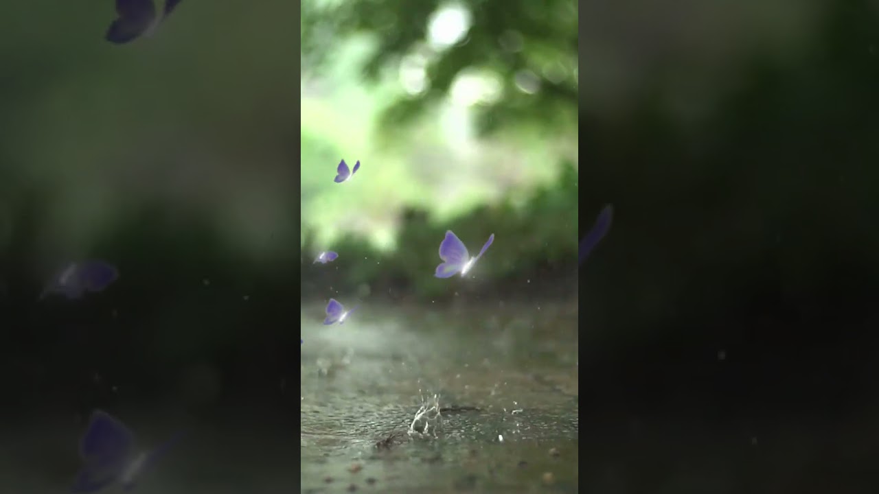 New Chapter of Destiny Begins by Rose Burnett | Daily #inspiration