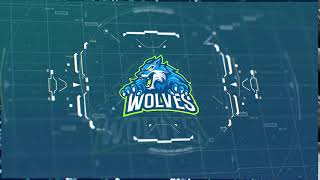 Logo Intro 48