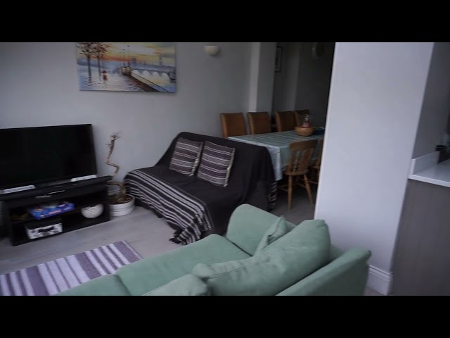 Video 1: