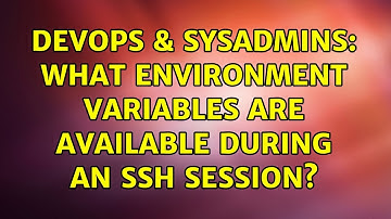 DevOps & SysAdmins: What environment variables are available during an ssh session?