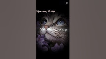 قران الكريم راحة نفسية ممكن شتراك #اكسبلور #لايك #القارئ #الاية #سورة #سورة_البقرة