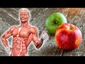 What Happens When You Eat an Apple Every Day