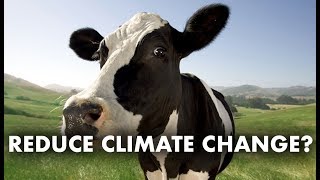 Reduce carbon footprint by 80% with one EASY change Guide