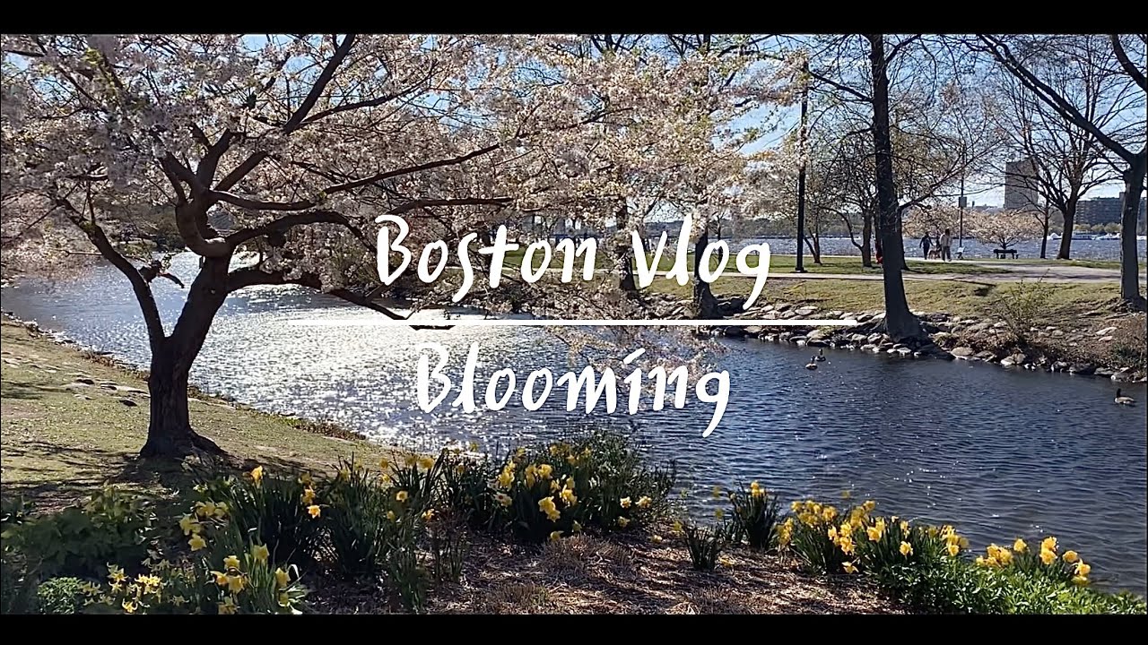 보스턴 브이로그 | 가보지 않은 길로 한번 가 보았더니 | Blooming | SOWA Vintage Market
