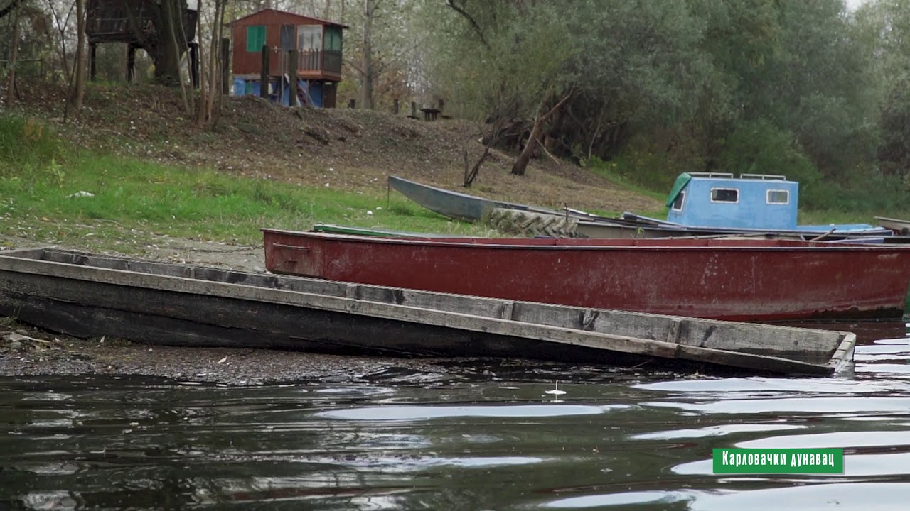 Reke i jezera ep.7 - Karlovački dunavac - 15.01.2020.