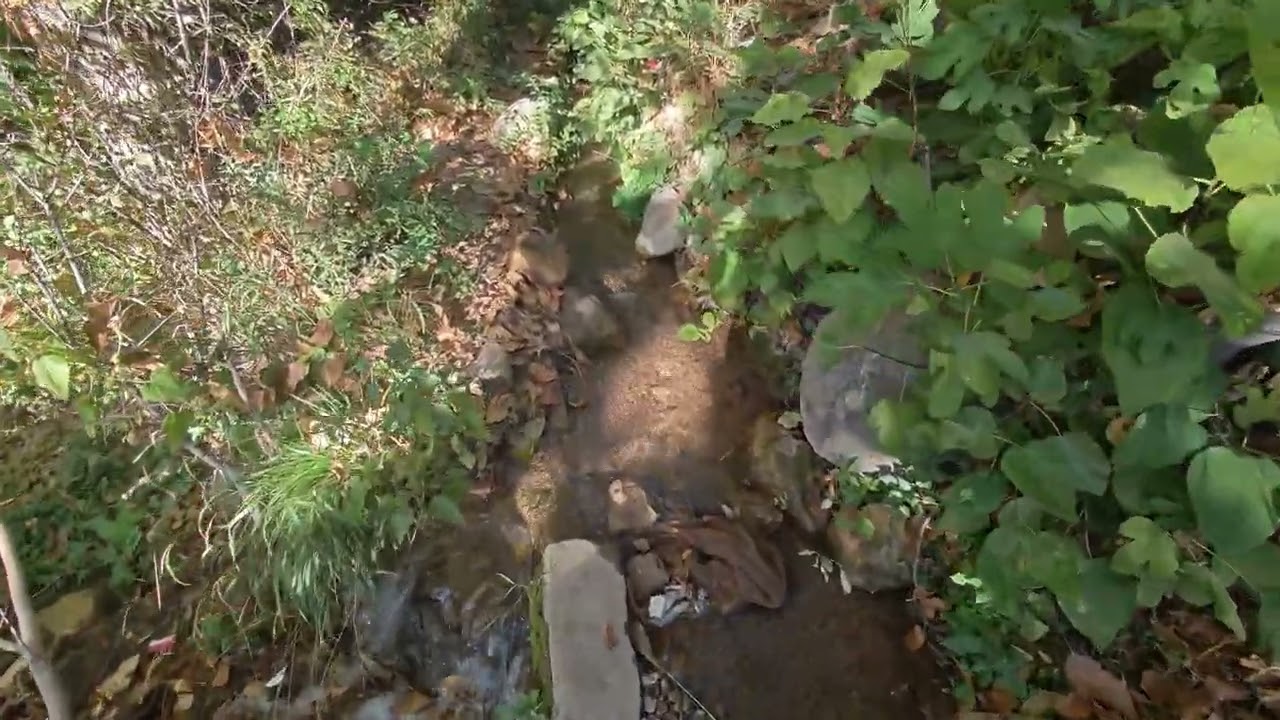 گوندێ هرورێ.. «قرية هرورى في محافظة دهوك».. 